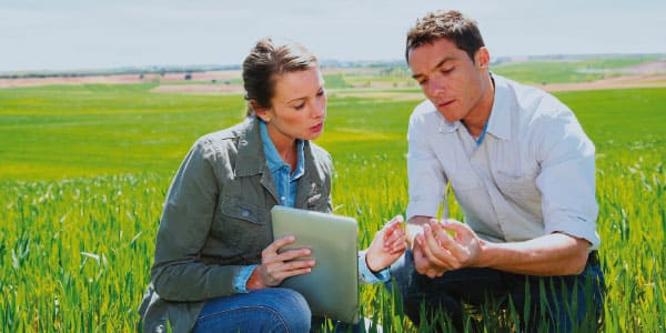 L'Informatore Agrario racconta le innovazioni tecniche del settore