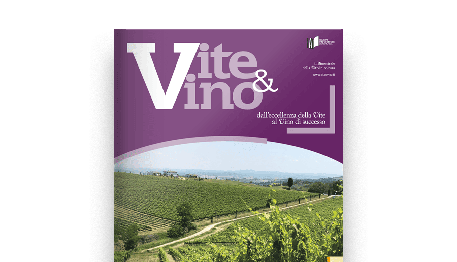 Vite & Vino dall'eccellenza della Vite al Vino di successo