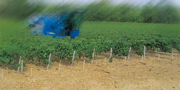 Vite & Vino racconta le nuove tecniche agronomiche