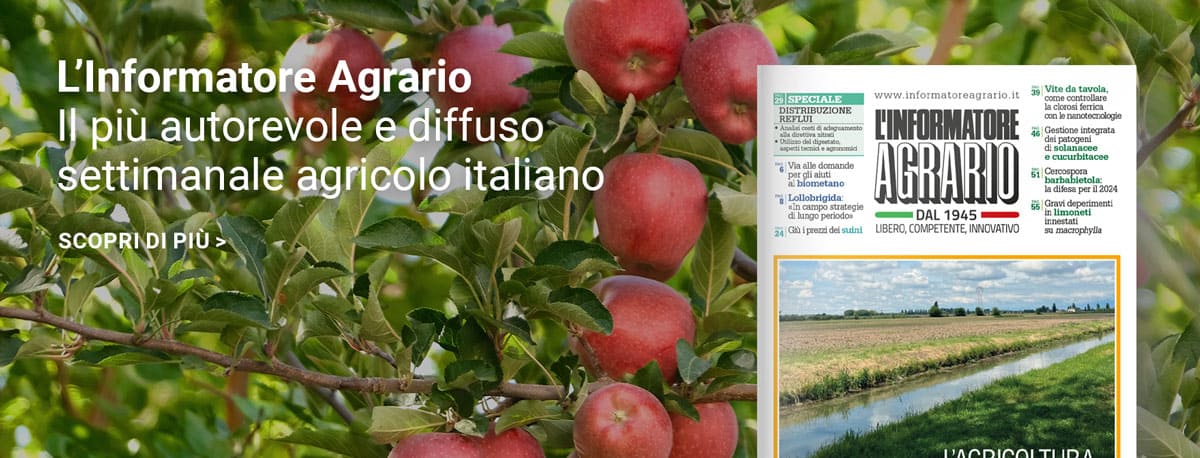 L'Informatore Agrario per approfondire la frutticoltura