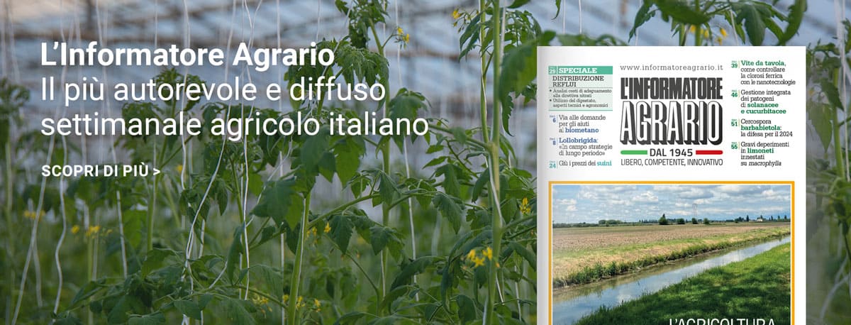 L'Informatore Agrario per approfondire l'orticoltura