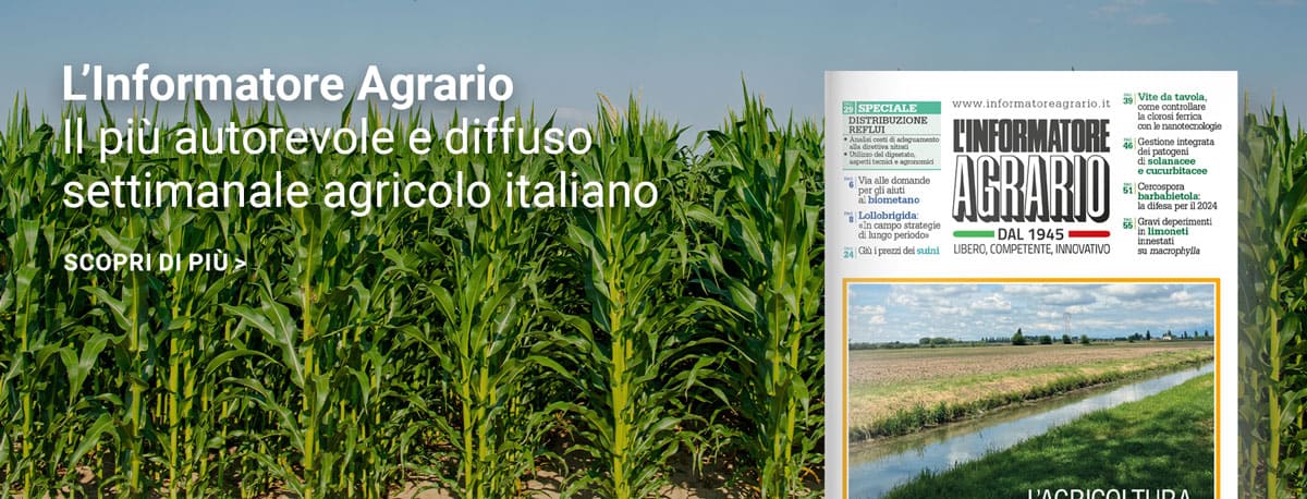 L'Informatore Agrario per approfondire i seminativi