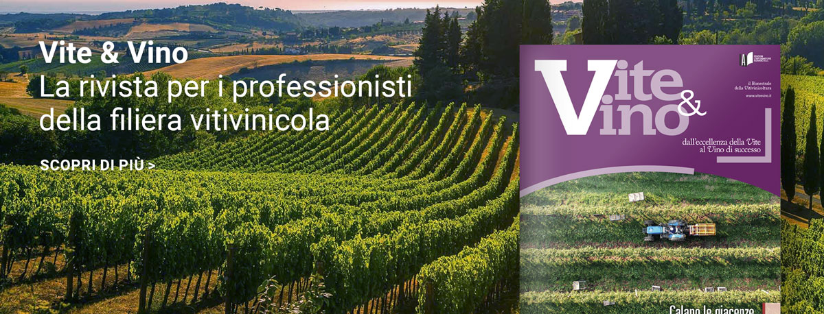 L'Informatore Agrario per approfondire la viticoltura