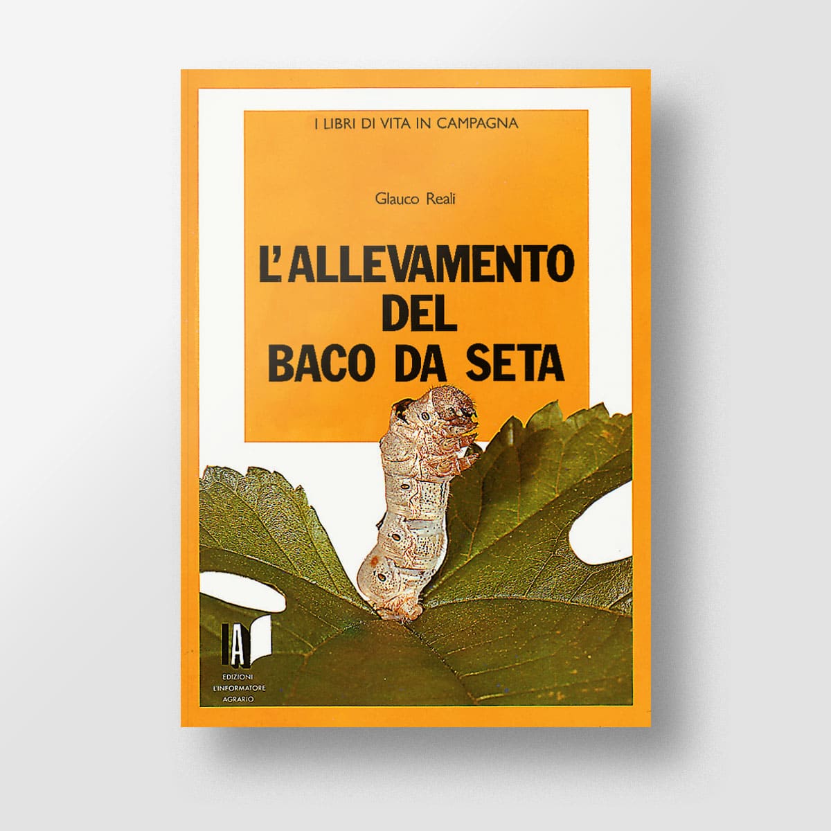 L'allevamento del baco da seta