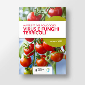 Avversità del pomodoro - Virus e funghi terricoli