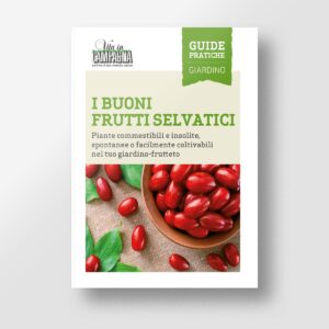 I buoni frutti selvatici