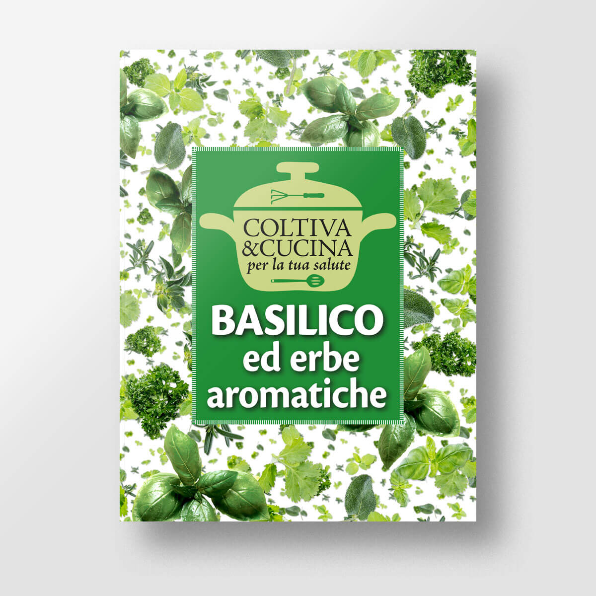 Coltiva&cucina - Basilico ed erbe aromatiche