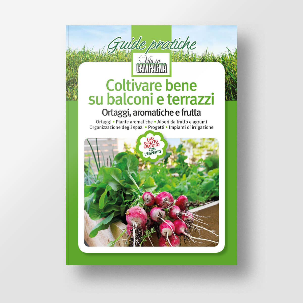 Coltivare bene su balconi e terrazzi