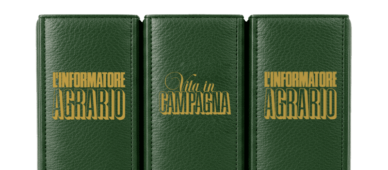 Immagina d'esempio dei nostri accoglitori