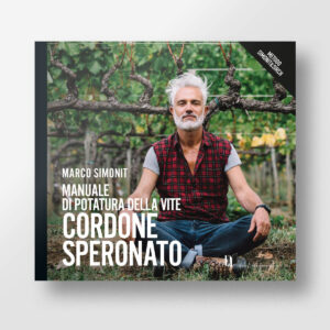 Cordone speronato