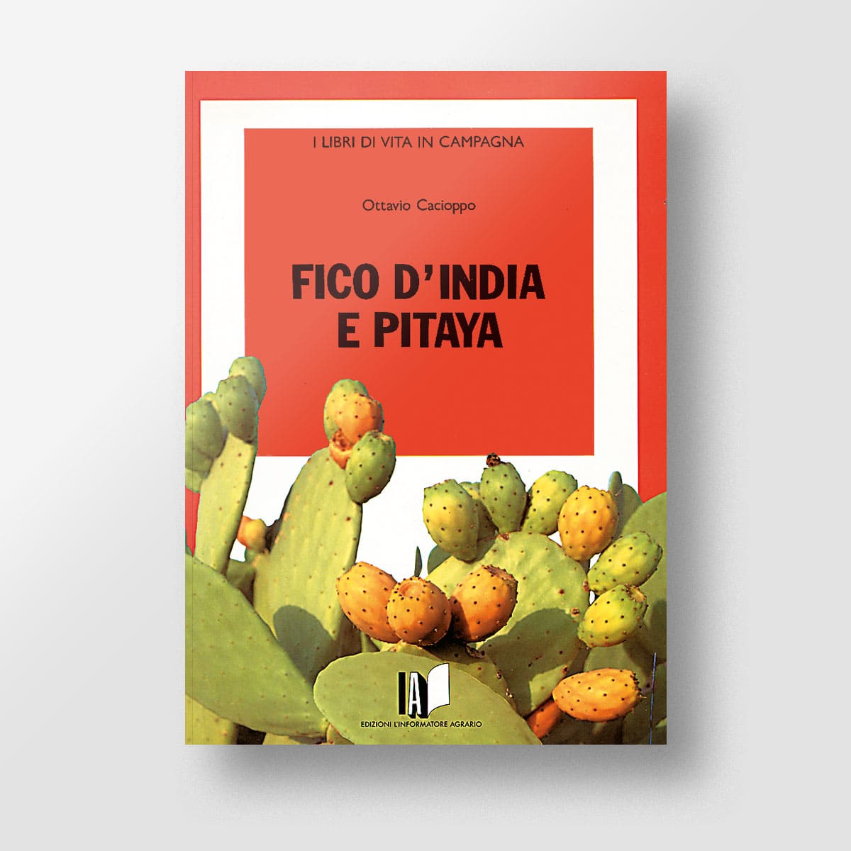 Fico d'India e pitaya