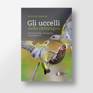 Gli uccelli della campagna