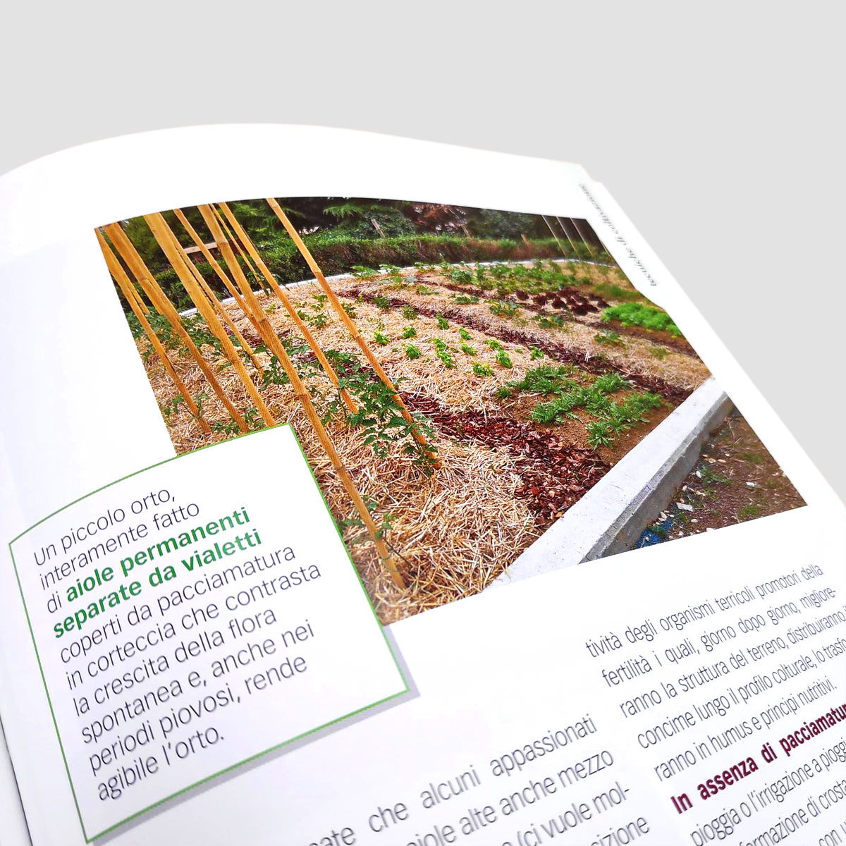 Orto Biologico - Tecniche di coltivazione - immagine 2