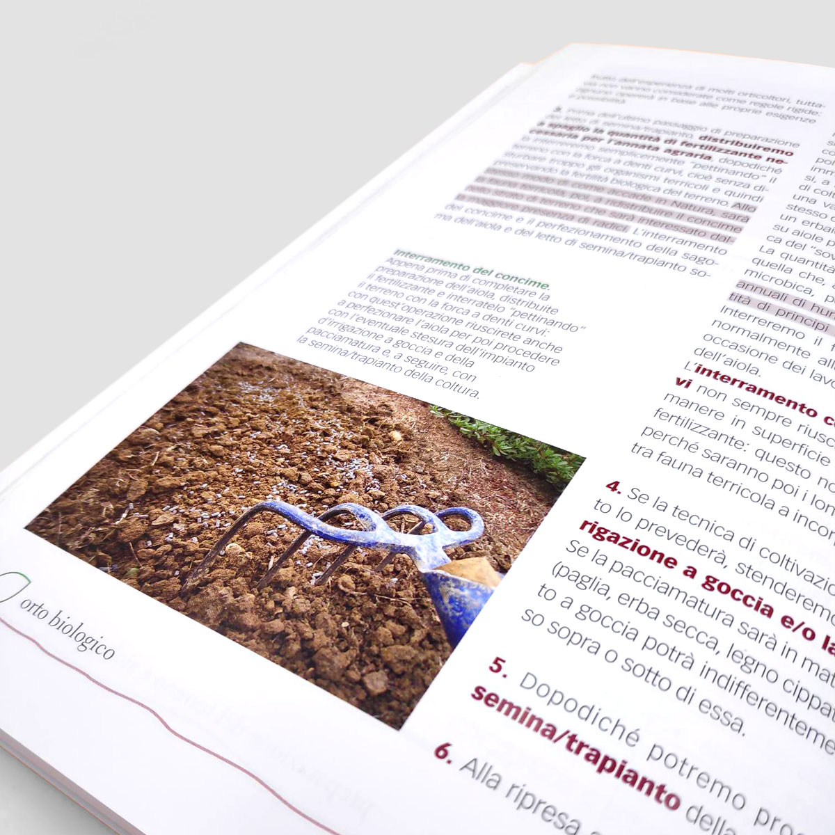 Orto Biologico - Tecniche di coltivazione - immagine 4