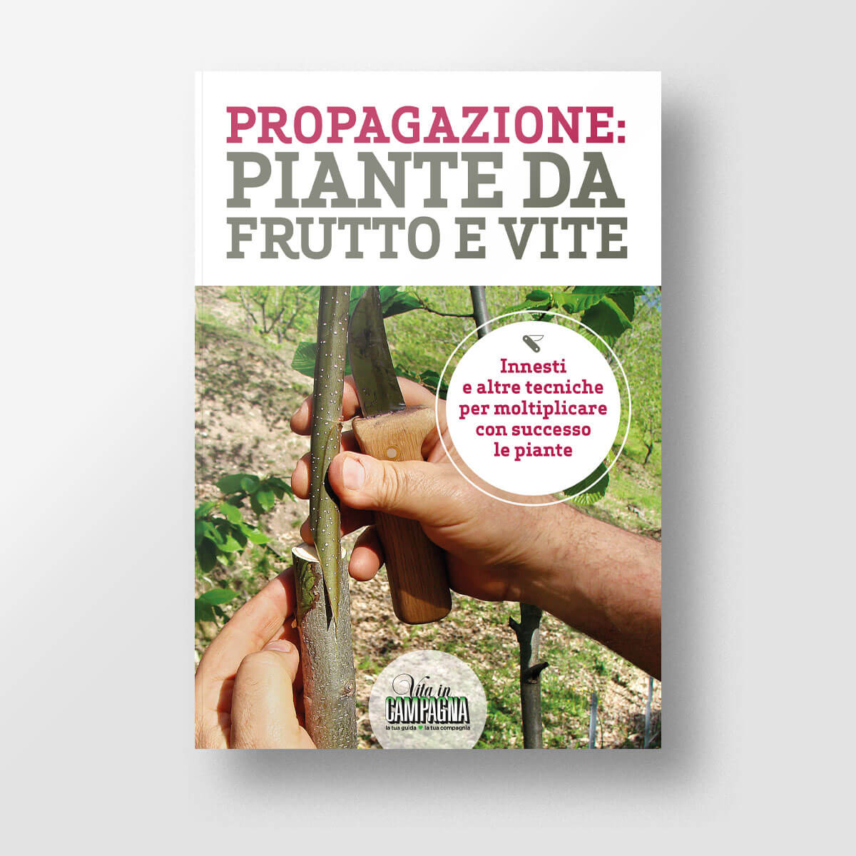 Propagazione: piante da frutto e vite