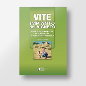 Vite - Impianto del vigneto