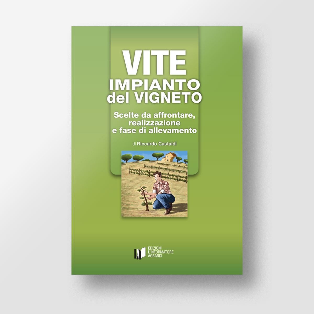 Vite - Impianto del vigneto